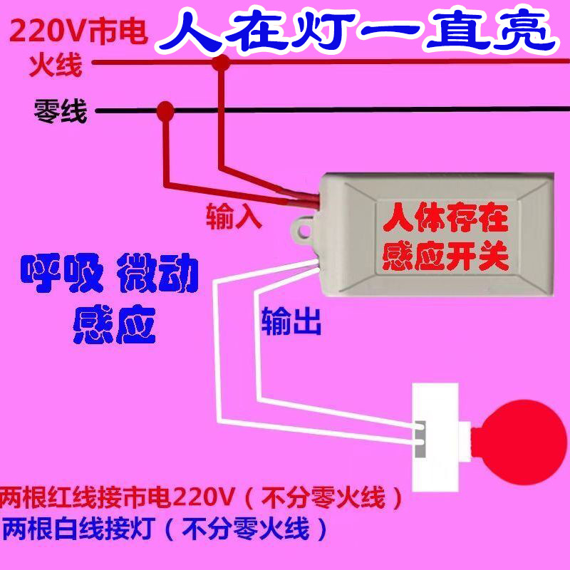 主4