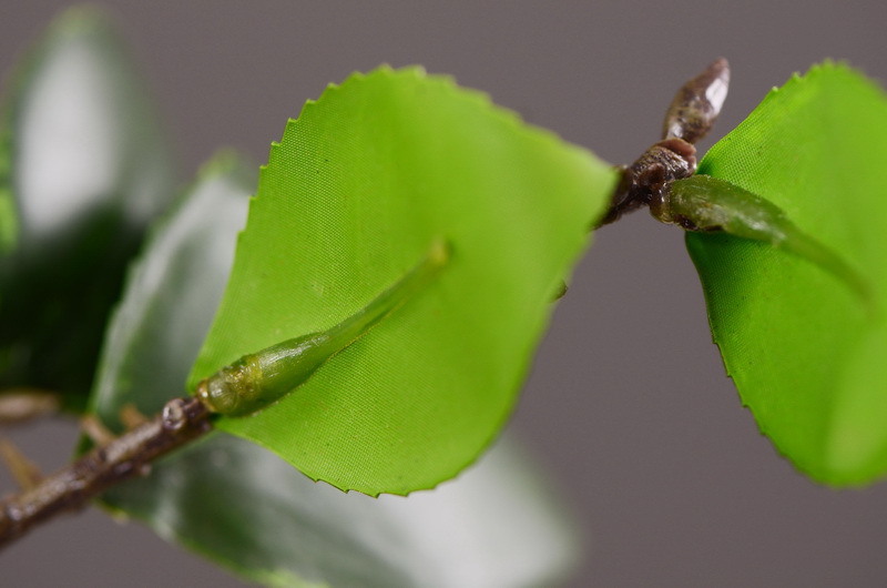 High-end artificial camellia wholesale from the original factory, ins home, hotel, banquet table flowers, cross-border pic 19