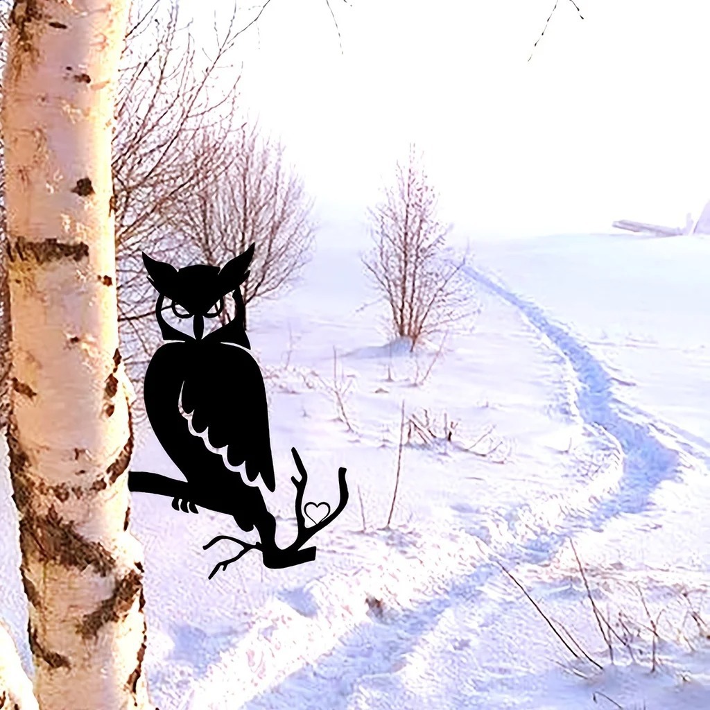 4_Se9c3d5869e37438bad08d212a9f