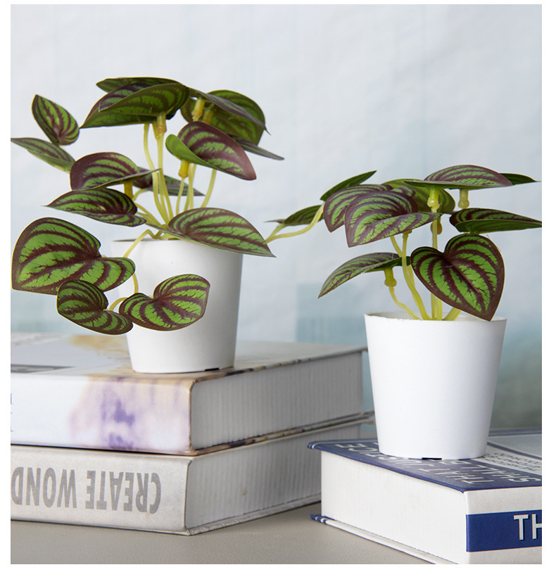 Cross-border home decoration mini plastic potted plant combination Pu turtle-back bamboo green plant sweet potato leaf artificial flower simulation potted plant pic 46