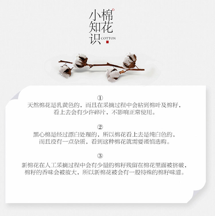 Xinjiang cotton quilts, long-staple cotton winter quilts, thick and warm cotton quilts, cotton quilts, single-person quilts, quilt cores, wholesale quilts pic 15