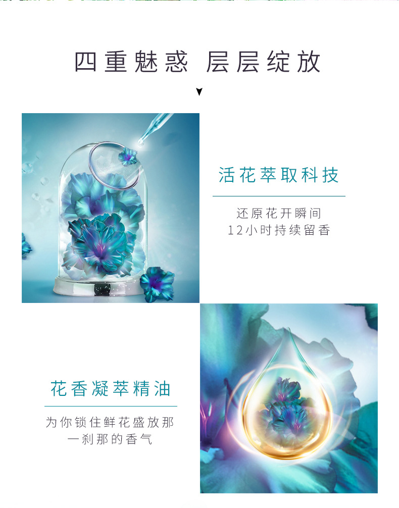 Wholesale lavender perfume body wash nourishes and rejuvenates the skin with a lingering fragrance. Rose petal body wash pic 8