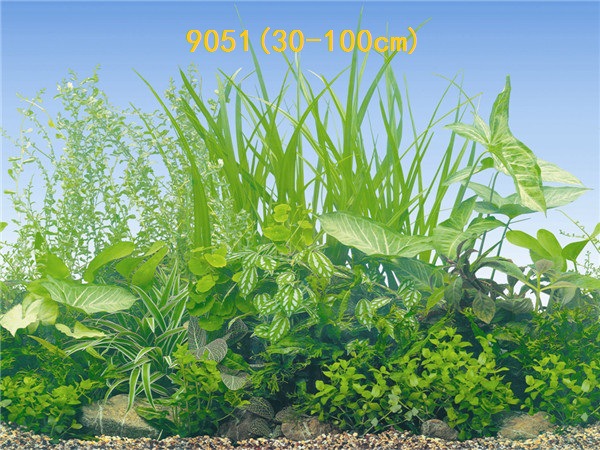 Wholesale export of 50cm high background painting, single-sided thin painting, 3D stereoscopic ecological aquarium sticker paper pic 63