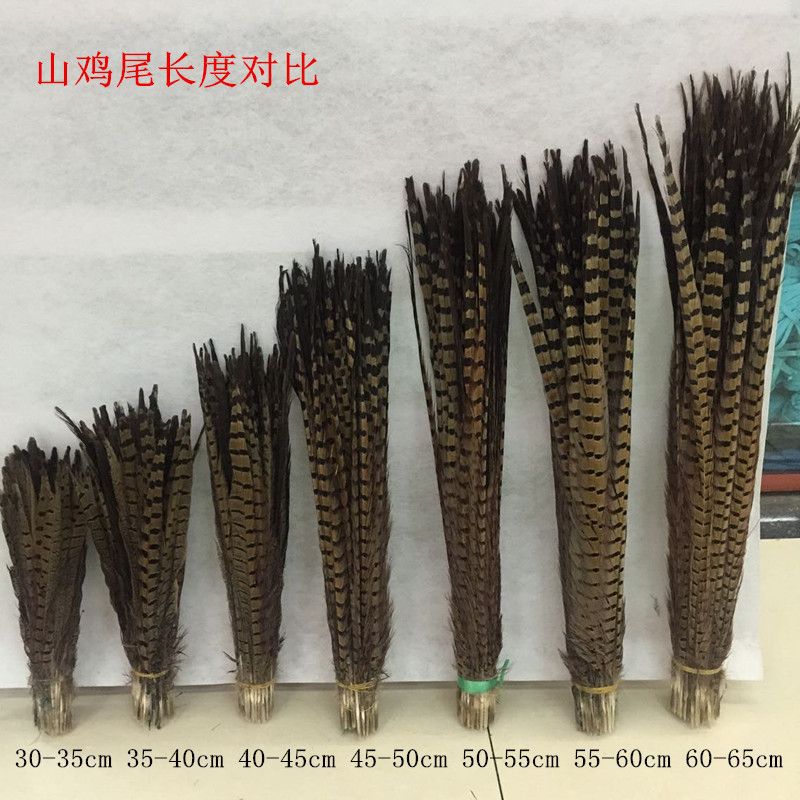 D05B7675545CCDCD8B0580AC0F1192