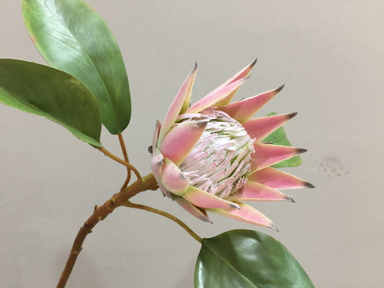 Dongli Flower Industry Factory offers direct sales and wholesale of tropical flowers, including simulated little emperor flowers, Nordic minimalist living room and home decoration simulated flowers, as well as entrance and table flowers pic 19