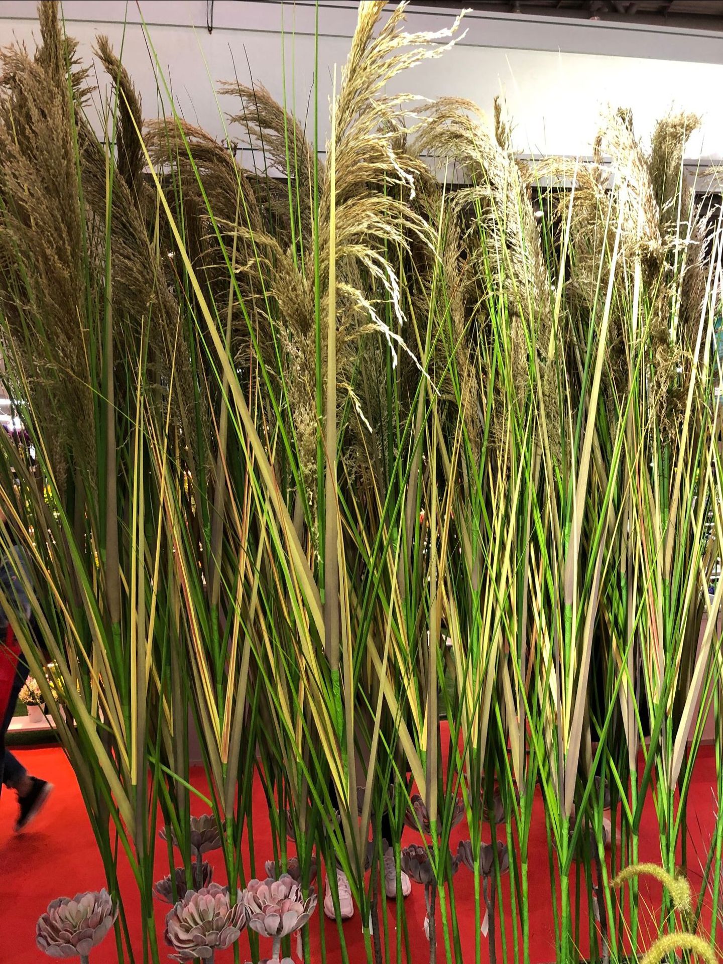 Bionic reed, pink muhly grass, sunny grass, indoor decorative green plants, potted plants, simulation plants, wedding props, decorative dogtail grass pic 21