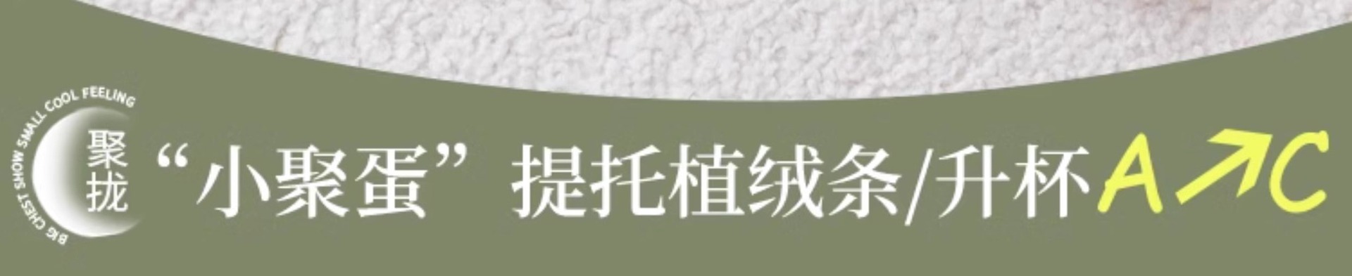 无痕裸感提拉内衣女聚拢小胸显大收副乳防下垂软支撑无钢圈文胸罩详情2