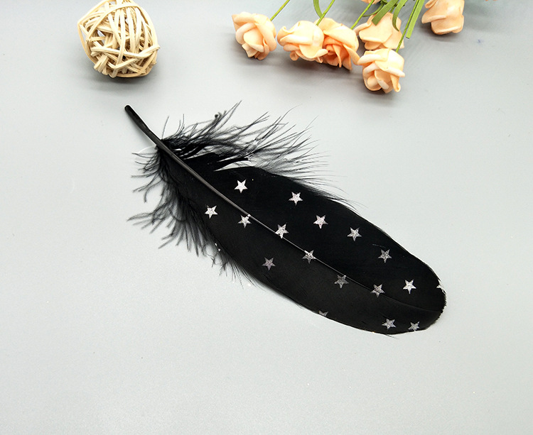A large quill feather gift box with all-gold and all-silver feathers, paper card bookmarks and decorative quill pens pic 46