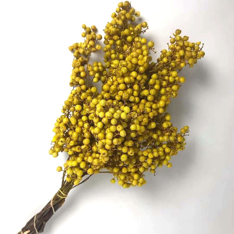 Eternal flower dried flower handicrafts with grass floating bottles, special berries, pepper and tofu pudding shop soft decoration pic 4