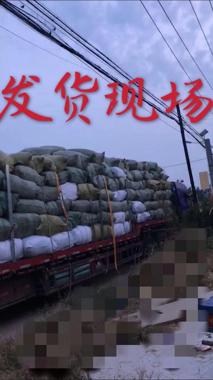 TB2VogWaPuhSKJjSspjXXci8VXa_!!