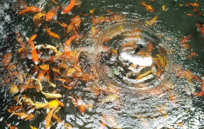 批发BOYU清洁用具六大组合多功能电动抽水管可伸缩清洁器详情22