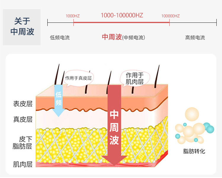 EMS微电贴片全息频谱理疗仪 发热刮痧减肥美容仪 DDS经络按摩仪器详情7