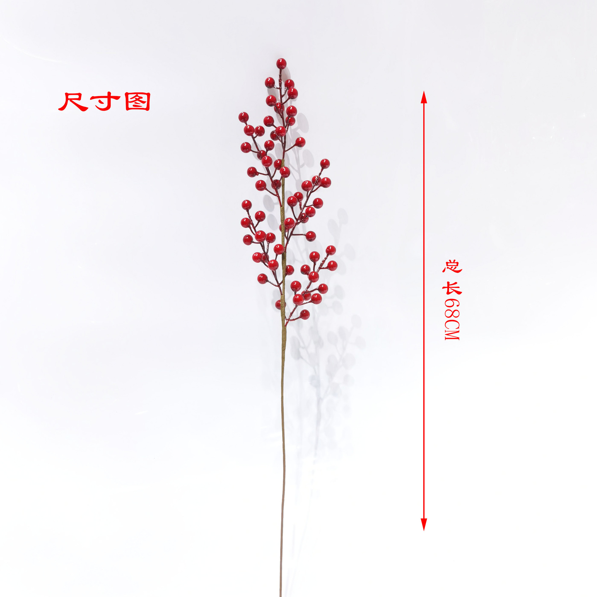 铁线五叉12果尺寸图