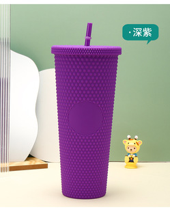 杯子ins风高颜值女生礼品钻石杯大容量跨境双层塑料吸管杯榴莲杯详情16