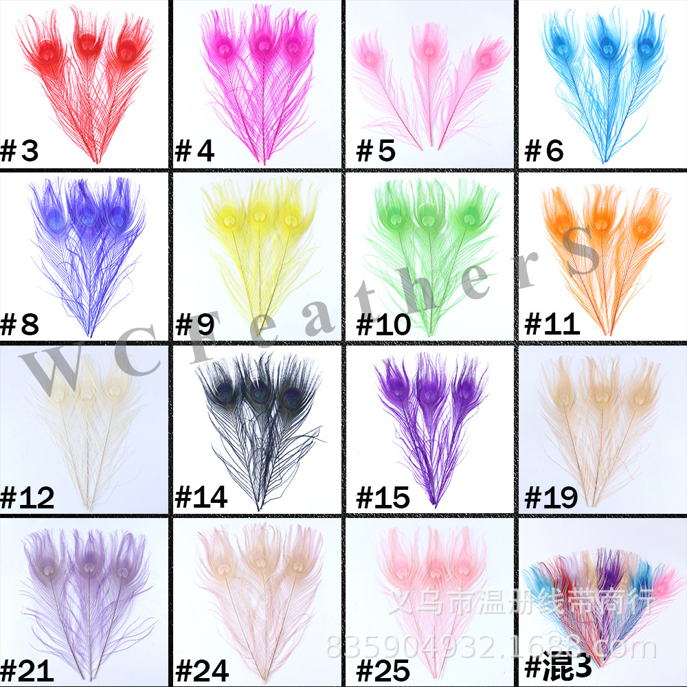 温册厂家直销天然孔雀羽毛DIY家居花瓶装饰婚庆道具新娘胸花材料详情4