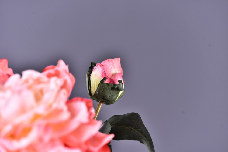 Factory direct sales of 2 simulated peonies, retro charred edge simulated peonies, soft decoration floral art for living rooms, lobbies and homestays pic 45