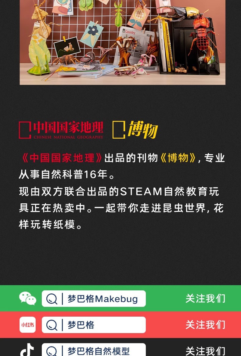 梦巴格3D立体纸拼图益智模型拼插装玩具自然科普动物手工金刚鹦鹉详情11