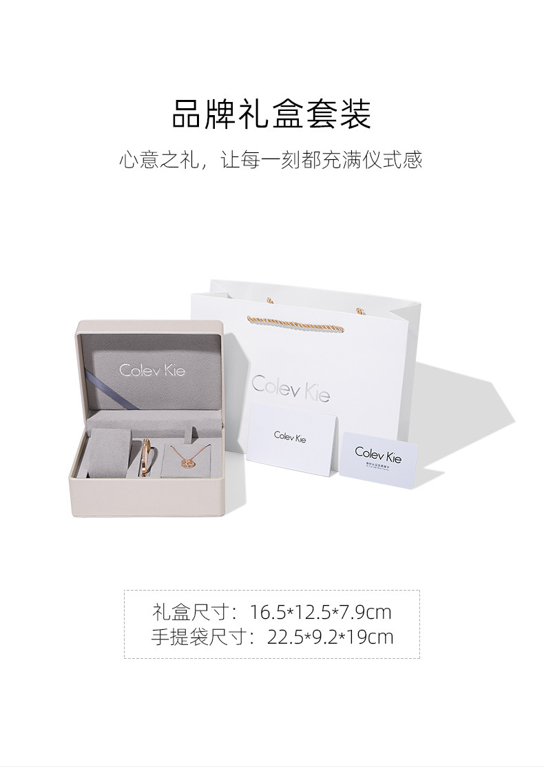 ColevKie女表正品 手表女高级感CK手表学生党女高颜值一件代发详情18