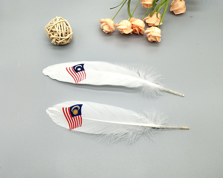 A large quill feather gift box with all-gold and all-silver feathers, paper card bookmarks and decorative quill pens pic 44