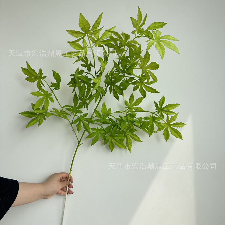 微信图片_202304021450459_副本