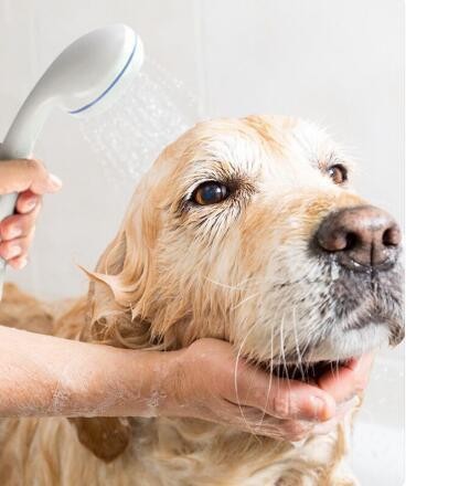 O1CN01EGbKKI1J0vp3DmZKl_!!2206