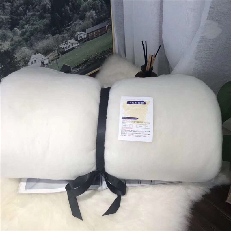 Light luxury 60S soy protein jacquard fiber quilt core, spring and autumn quilts, winter quilts, single and double soft quilts for students pic 4