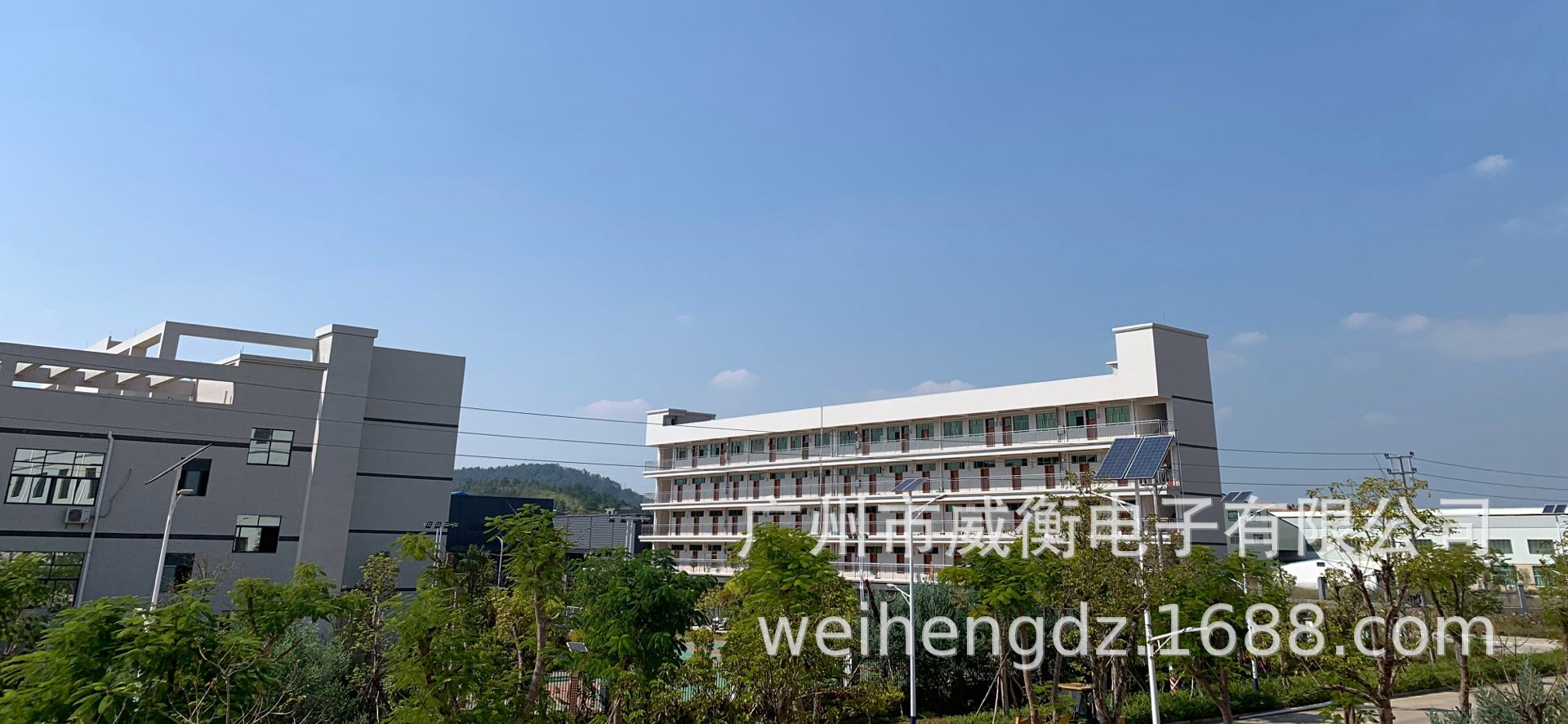 WeiHeng Keychain portable Scale WH-A21 mini Electronic Scale Mini electronic portable scale can weigh up to 25kg per jin pic 3