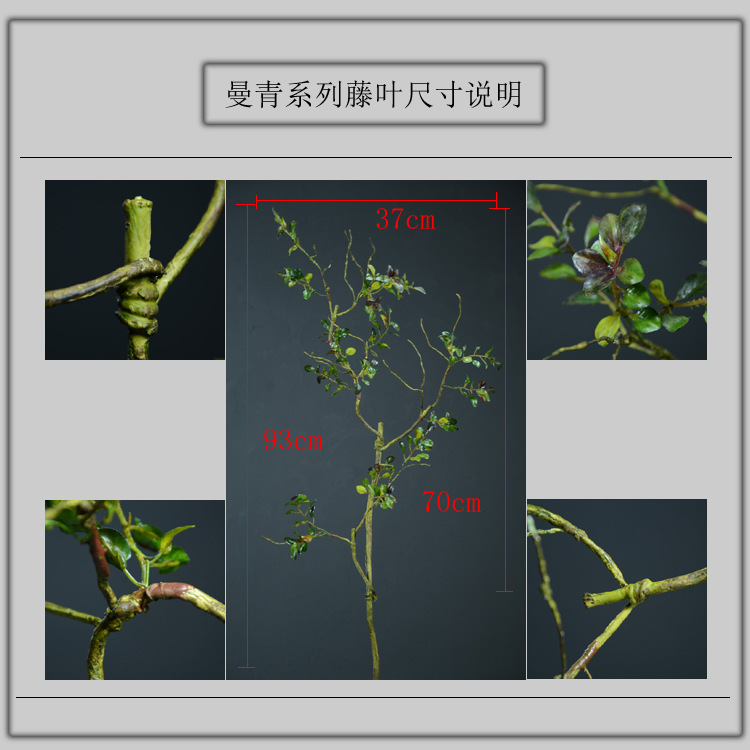 1-2尺寸说明 .jpg