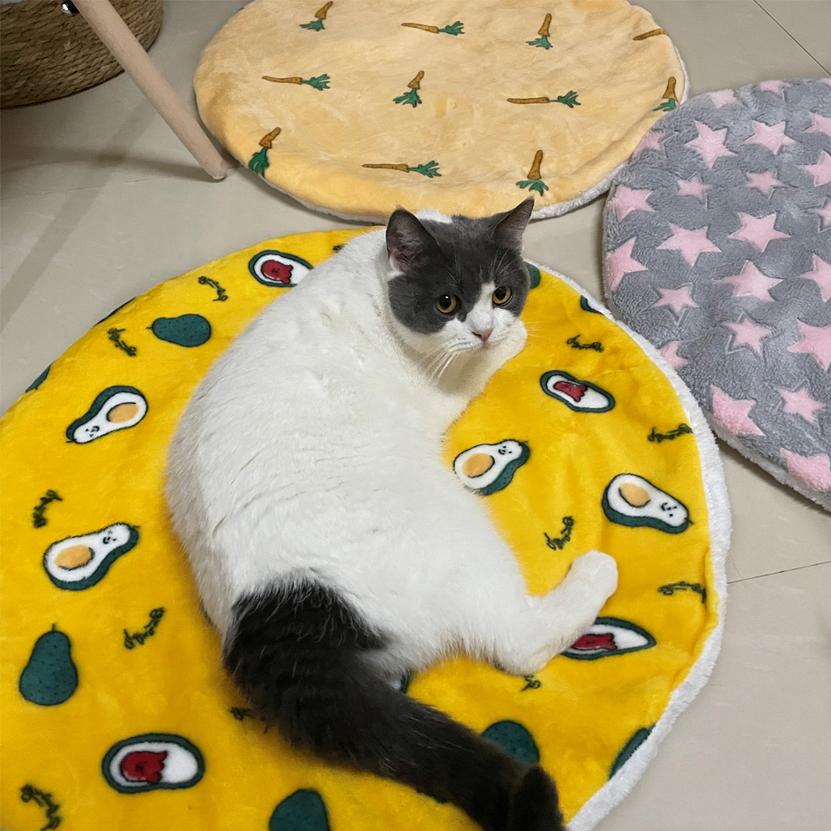 Круглый кошачий коврик, кошачий питомник pic 8
