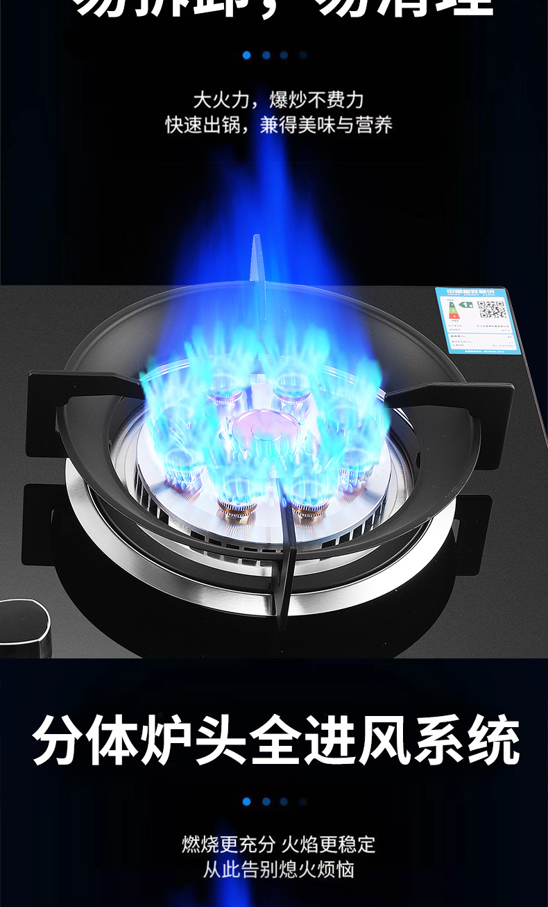 燃气灶家用厨卫双九腔猛火灶台嵌两用天然气液化气双灶煤气灶批发详情9