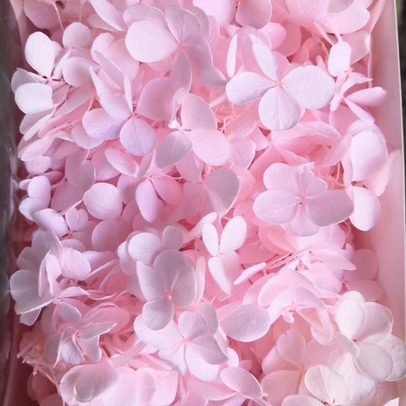 Natural plant preservation eternal flower Atlantis wood hydrangea floating bottle, special for flower arrangement handicrafts pic 3