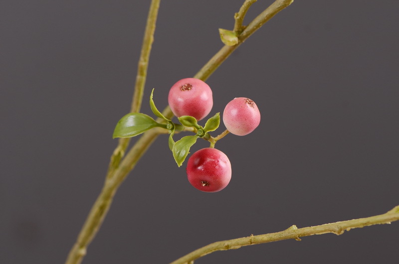 Factory direct sales of simulated small apple branches with leaves for home entrance and hotel soft decoration, as well as simulated fruit branches of the money fruit pic 17