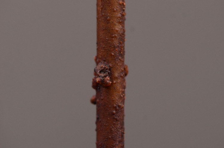 Factory direct sales, wholesale of in-stock inventory of artificial large needle cushion flowers, artificial flower sets, wholesale of living room, dining table, entrance hall, desktop decoration, flower arrangement and ornaments pic 16