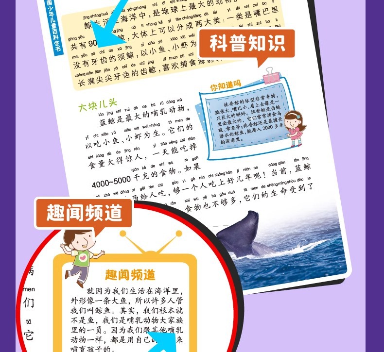 中国少年儿童百科全书全套10册注音版6-8-12岁青少年科普读物详情11