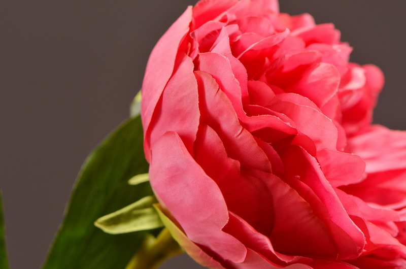 Wholesale of artificial large-branch peonies for home, hotel, restaurant soft decoration, artificial flowers and artificial paeonies from the manufacturer pic 20