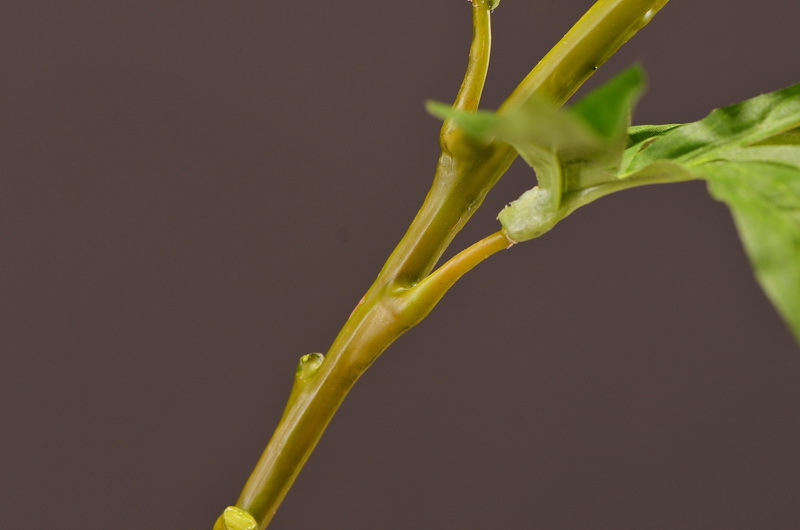 Wholesale of artificial large-branch peonies for home, hotel, restaurant soft decoration, artificial flowers and artificial paeonies from the manufacturer pic 32