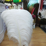 The feather fan is a special prop for the dance performance of the ostrich-colored feather fan used by the palace film crew pic 16
