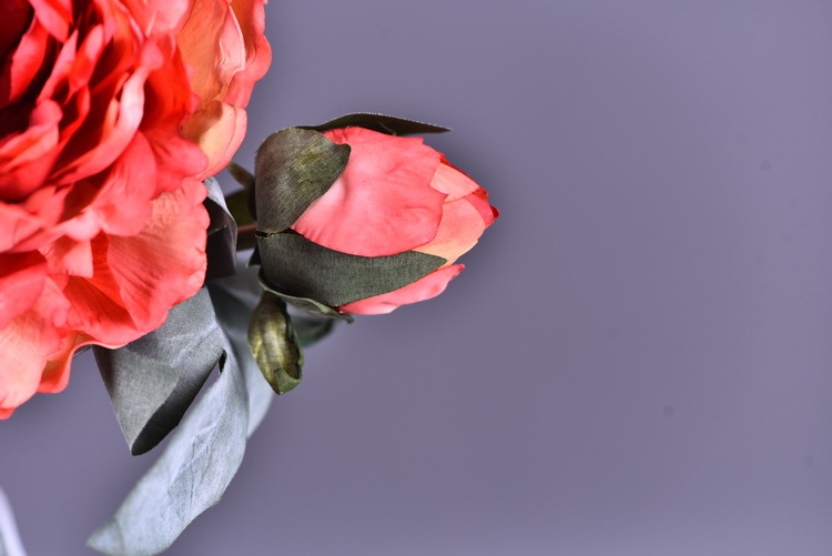 Factory direct sales of faux peonies with charred edges, wholesale of retro faux paeonies, living room and dining table flowers, wedding decoration artificial flowers pic 6