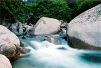 100D四面弹三层复合TPU特立可得防水软壳夹克弹力面料详情22