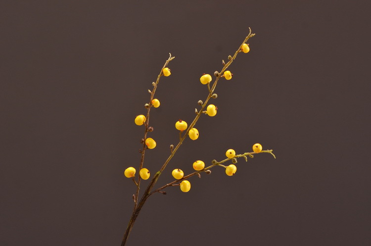 Artificial rosehip, artificial plant fruit, berry, American decorative floral arrangement materials, photography props pic 34