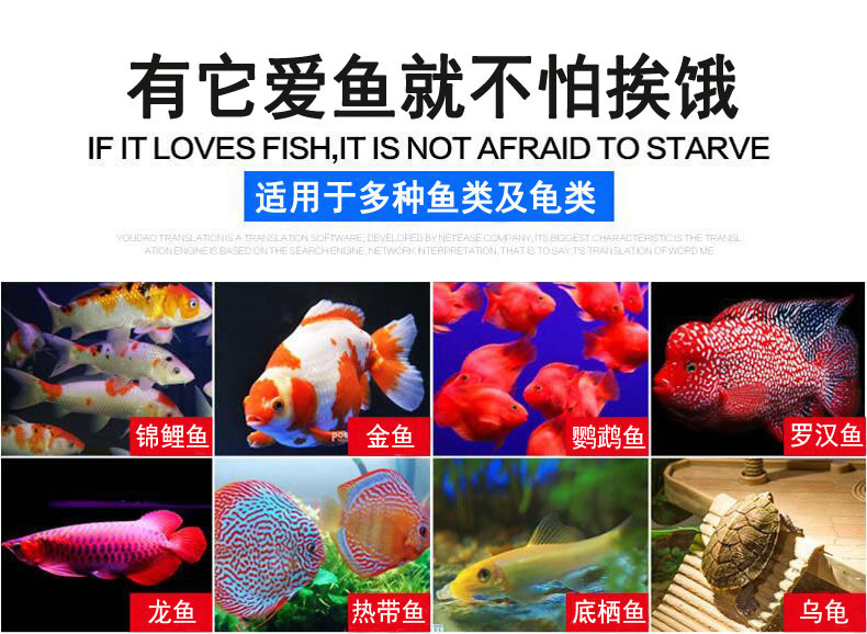 Fish tank feeder, automatic fish tank feeding device for koi and goldfish, intelligent timed fish feeding machine for aquariums pic 6