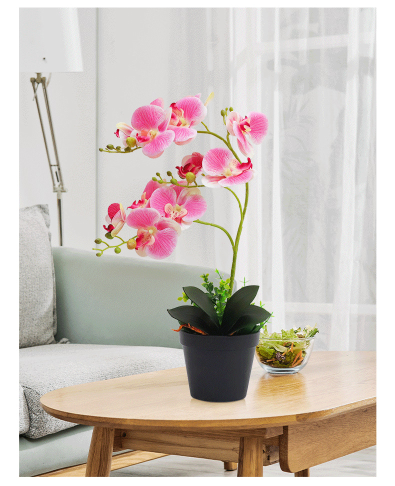 Artificial flower ornaments, artificial Phalaenopsis small potted plants, artificial flowers, living room table decorations, decorative flowers and green plants wholesale pic 8