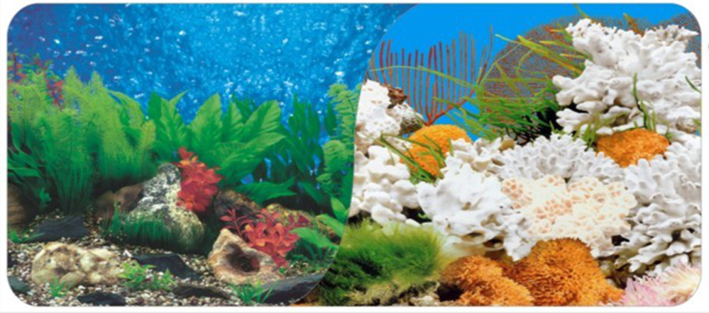 60cm double-sided thick fish tank background painting aquarium decoration background painting can be customized for multiple types of aquariums pic 3