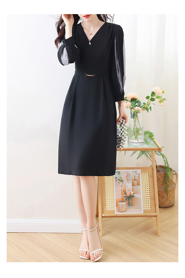 2024 real de mediana edad mamá vestido de aire vestido de otoño nuevo vestido de mujer primavera otoño temperamento de alta gama manga larga falda pic 18