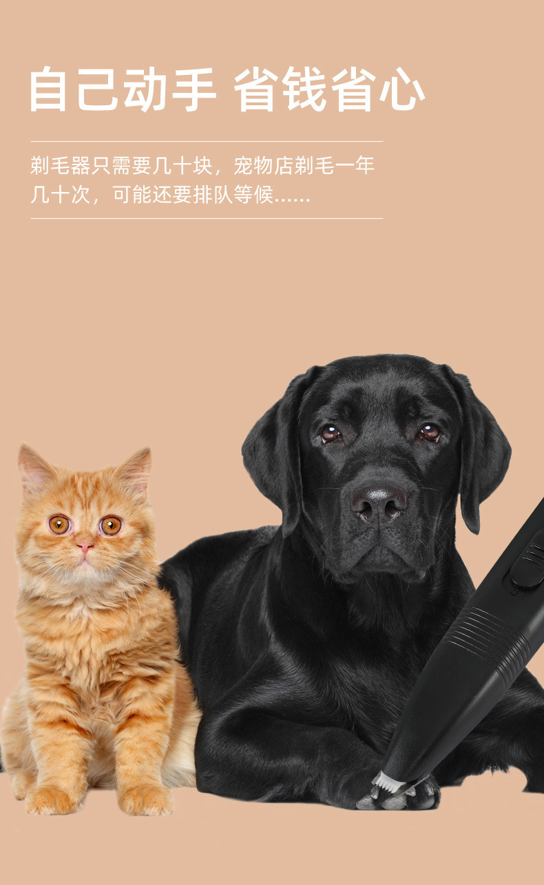 Pet hair trimmer and shaver, dry battery type pet foot hair trimmer and shaver manufacturer for sale pic 3