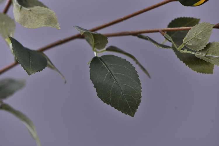 Factory wholesale of 5-head simulated rose with charred edges, retro Greek rose, living room, hotel and homestay photography props rose pic 22