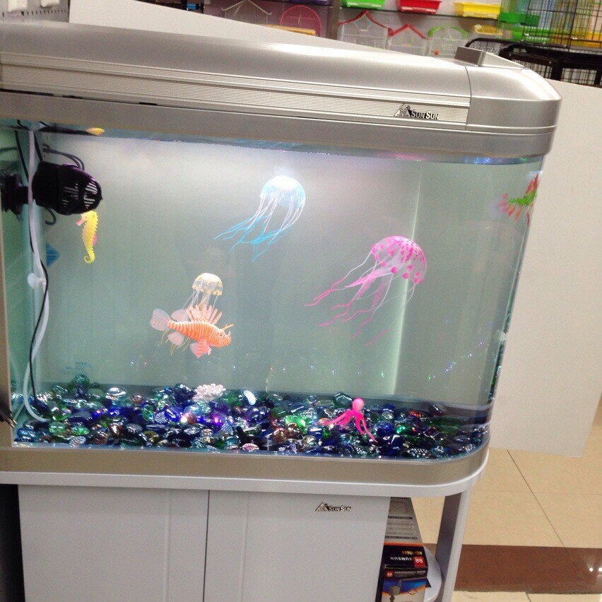 Wholesale of insect cages, bird cages, insect boxes, pet cages and plastic small fish tanks series pic 21