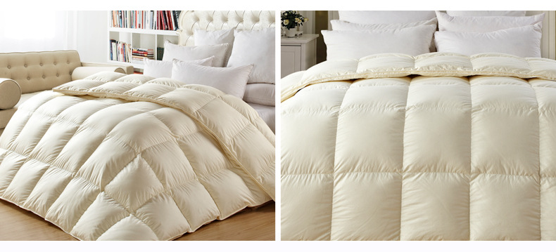 Seven-star hotel supplies: White goose down quilt, high-end down quilt core pic 9