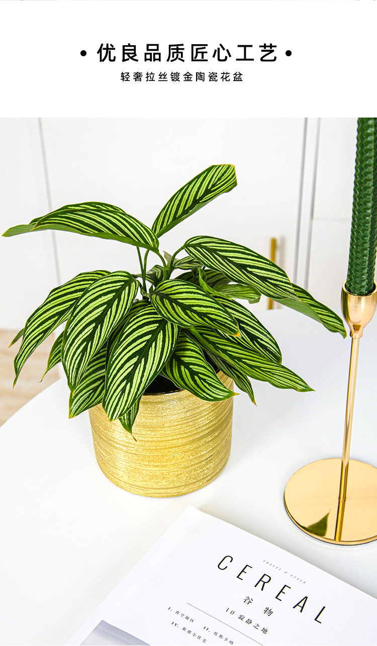 Chinagoods Du Qi Hotel supplies: European-style simple and creative ceramic brushed, gold-plated and silver succulent combination export flower POTS, handicrafts and flower vases pic 2