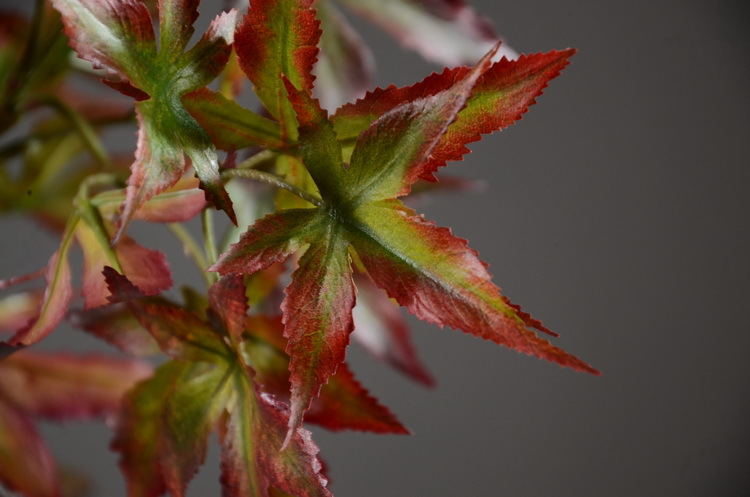 Factory wholesale of artificial flowers, direct sales from the manufacturer, wholesale of artificial green plants, home decoration flowers, red artificial leaves, artificial maple leaves pic 23